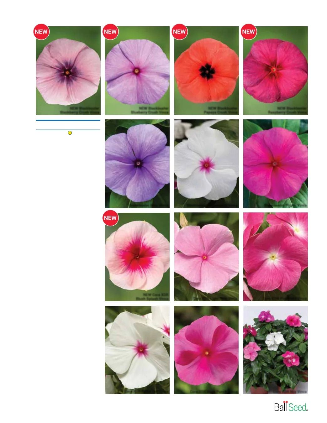 Ball Seed Seed and Plugs Catalog Weekly Ad August 31, 2026 - December 31, 2028