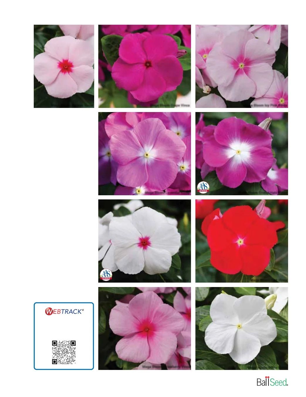 Ball Seed Seed and Plugs Catalog Weekly Ad August 31, 2026 - December 31, 2028