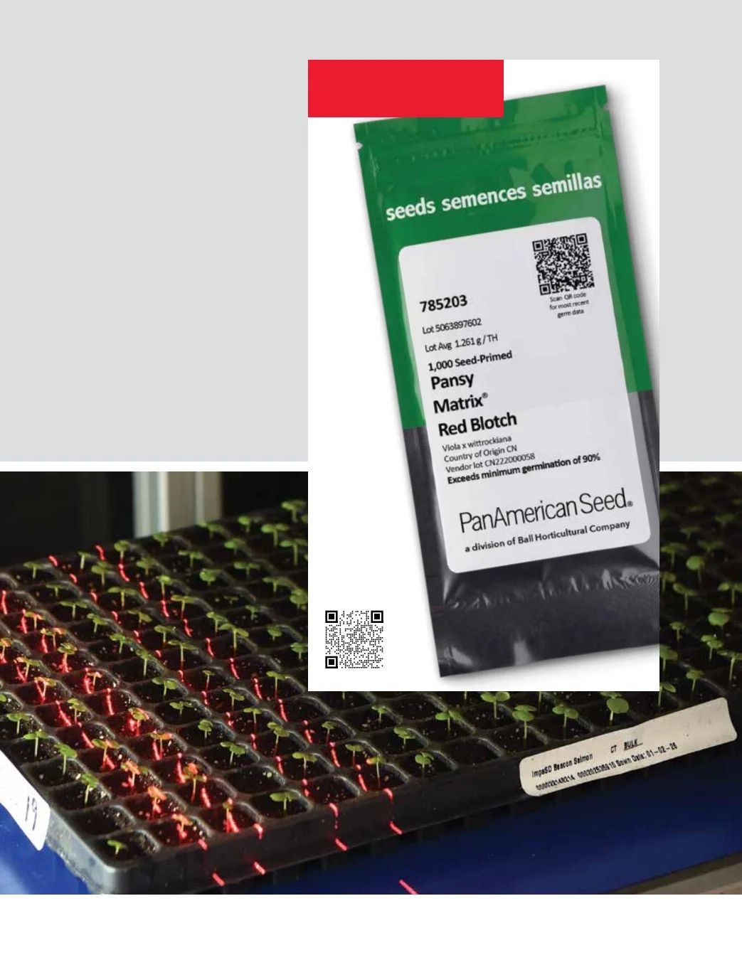 Ball Seed Seed and Plugs Catalog Weekly Ad August 31, 2026 - December 31, 2028