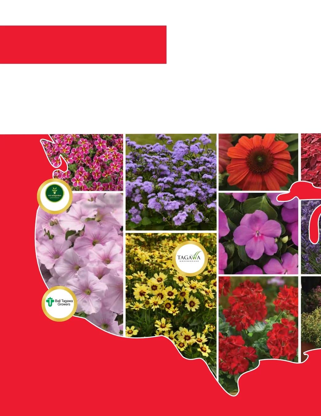 Ball Seed Seed and Plugs Catalog Weekly Ad August 31, 2026 - December 31, 2028