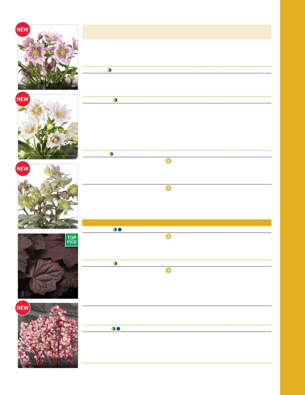 Ball Seed Seed and Plugs Catalog Weekly Ad August 31, 2026 - December 31, 2028