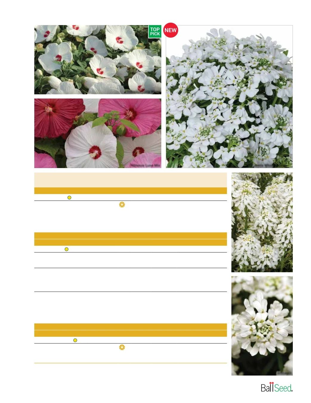 Ball Seed Seed and Plugs Catalog Weekly Ad August 31, 2026 - December 31, 2028