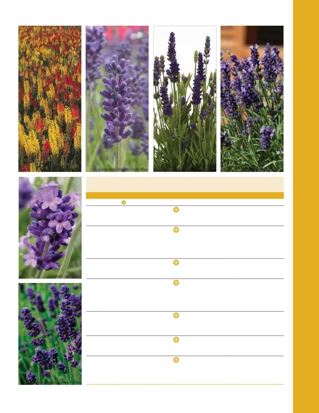 Ball Seed Seed and Plugs Catalog Weekly Ad August 31, 2026 - December 31, 2028