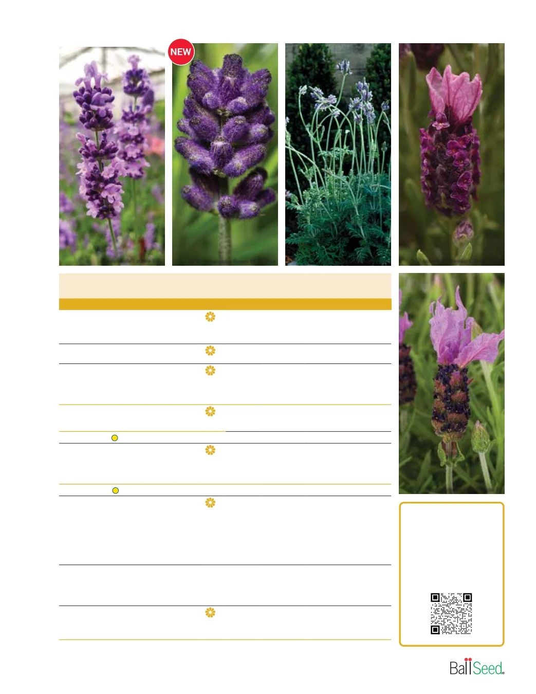 Ball Seed Seed and Plugs Catalog Weekly Ad August 31, 2026 - December 31, 2028