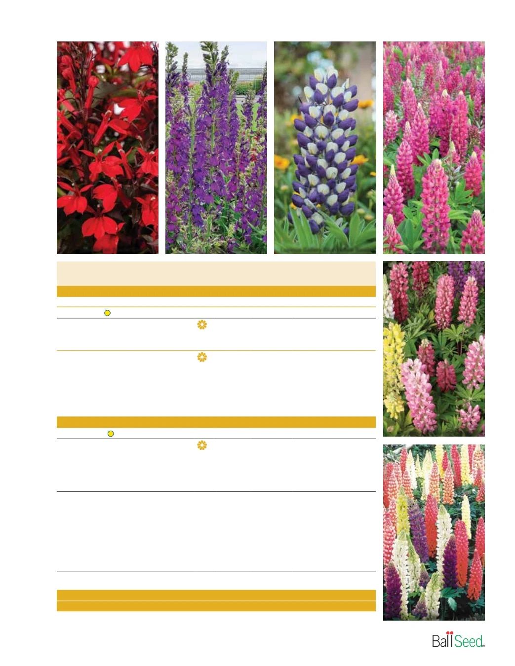 Ball Seed Seed and Plugs Catalog Weekly Ad August 31, 2026 - December 31, 2028