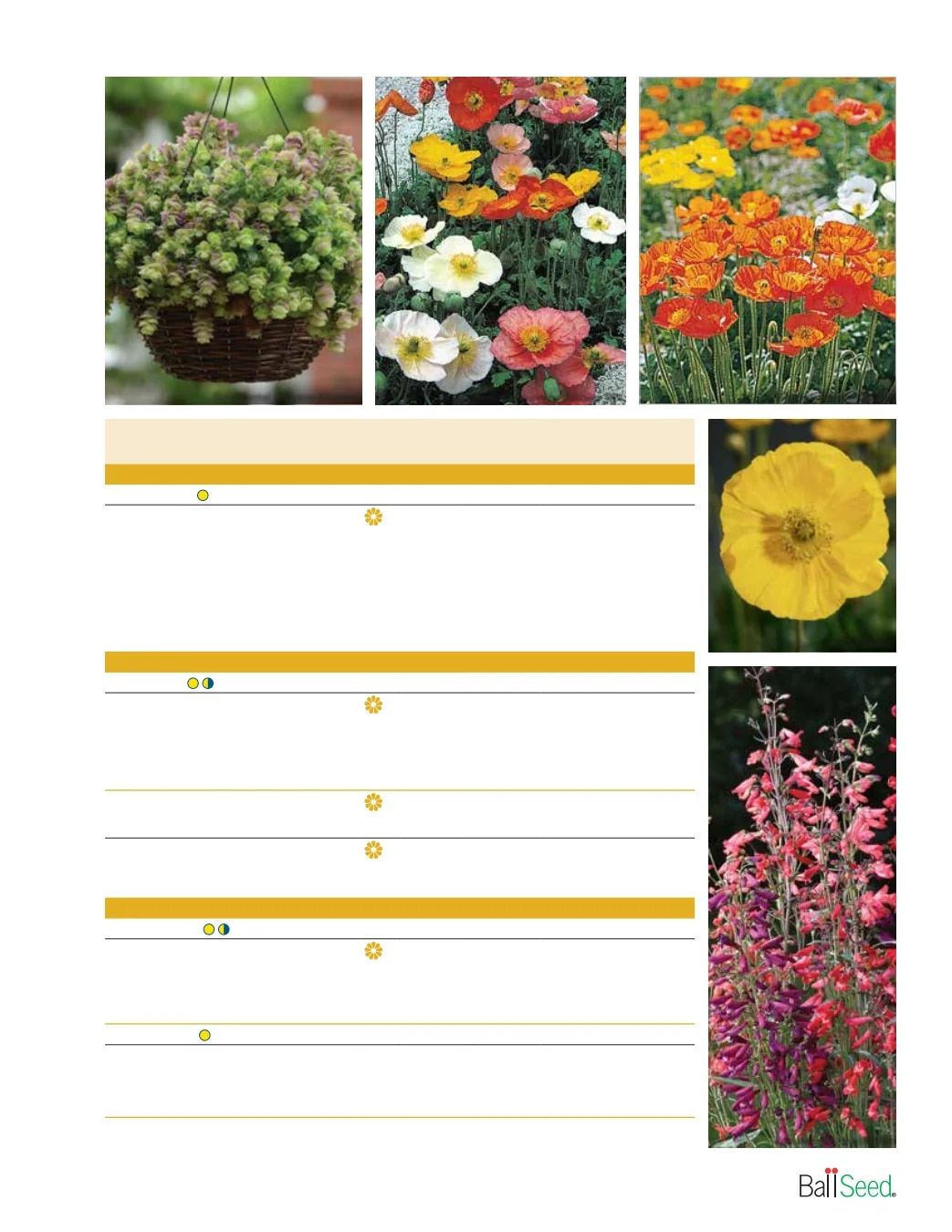 Ball Seed Seed and Plugs Catalog Weekly Ad August 31, 2026 - December 31, 2028