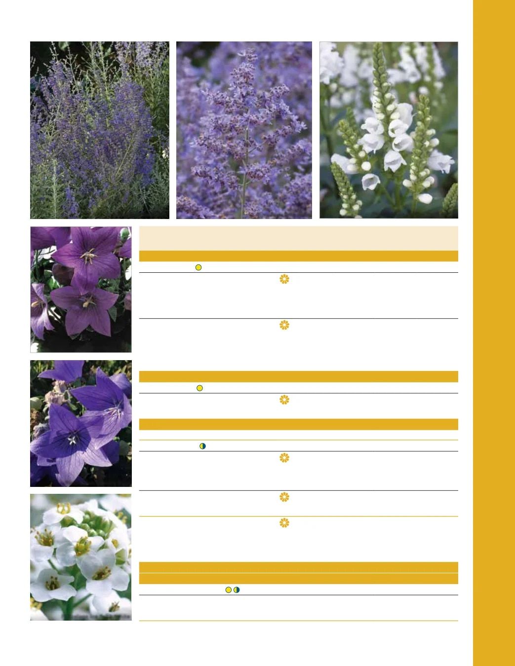 Ball Seed Seed and Plugs Catalog Weekly Ad August 31, 2026 - December 31, 2028
