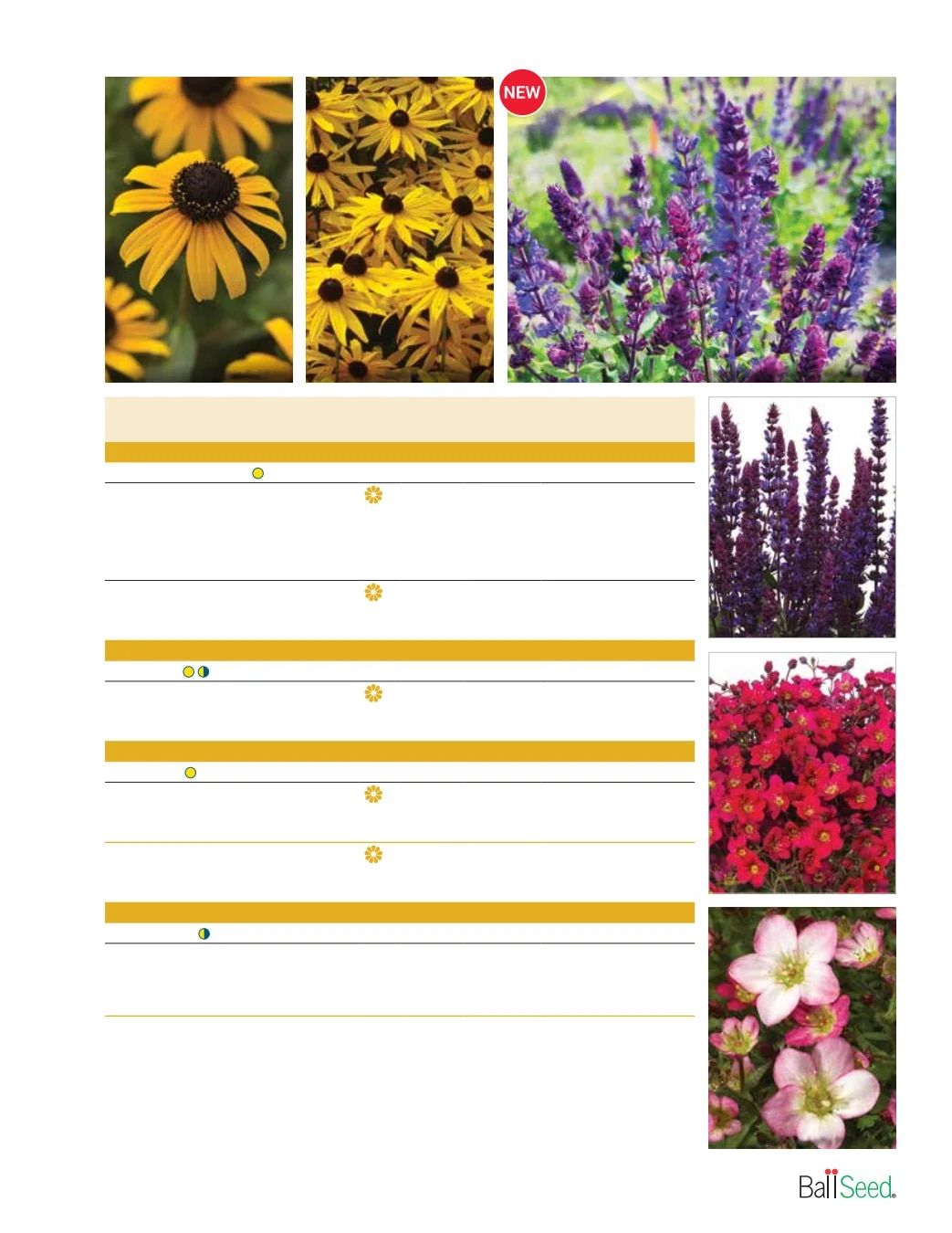 Ball Seed Seed and Plugs Catalog Weekly Ad August 31, 2026 - December 31, 2028