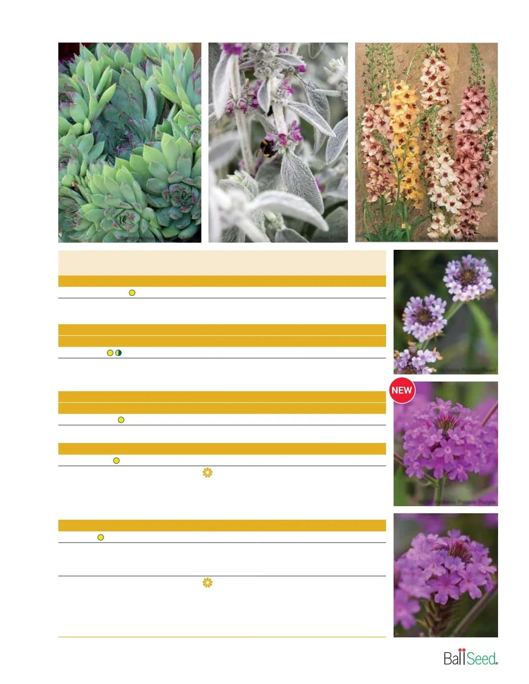 Ball Seed Seed and Plugs Catalog Weekly Ad August 31, 2026 - December 31, 2028