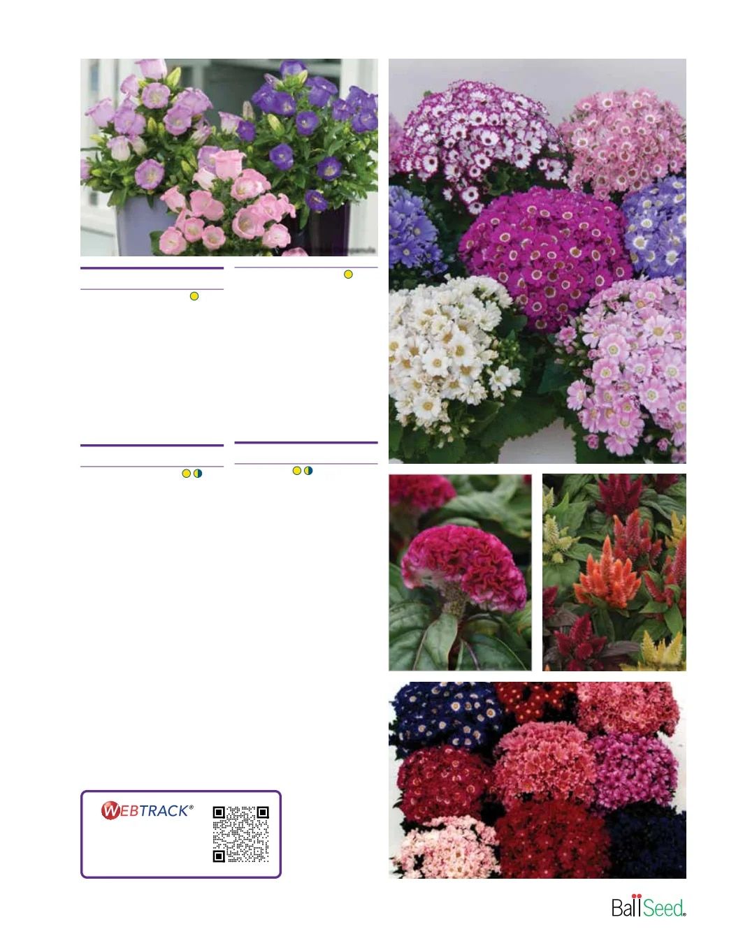 Ball Seed Seed and Plugs Catalog Weekly Ad August 31, 2026 - December 31, 2028