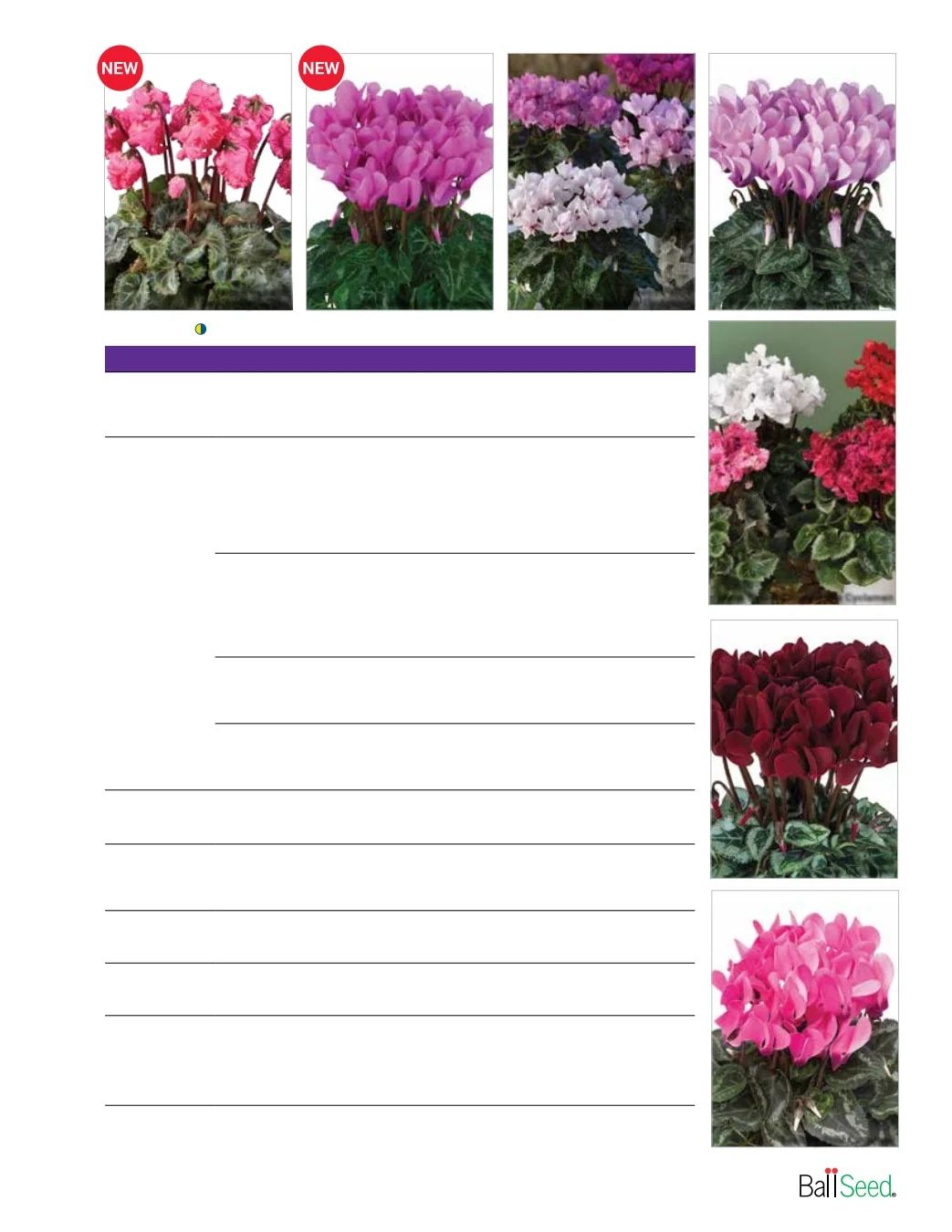 Ball Seed Seed and Plugs Catalog Weekly Ad August 31, 2026 - December 31, 2028
