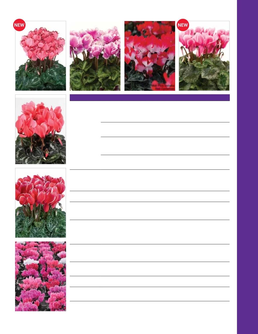Ball Seed Seed and Plugs Catalog Weekly Ad August 31, 2026 - December 31, 2028
