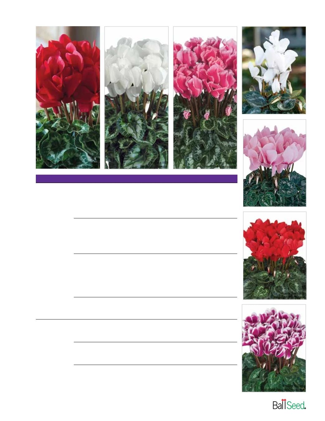 Ball Seed Seed and Plugs Catalog Weekly Ad August 31, 2026 - December 31, 2028