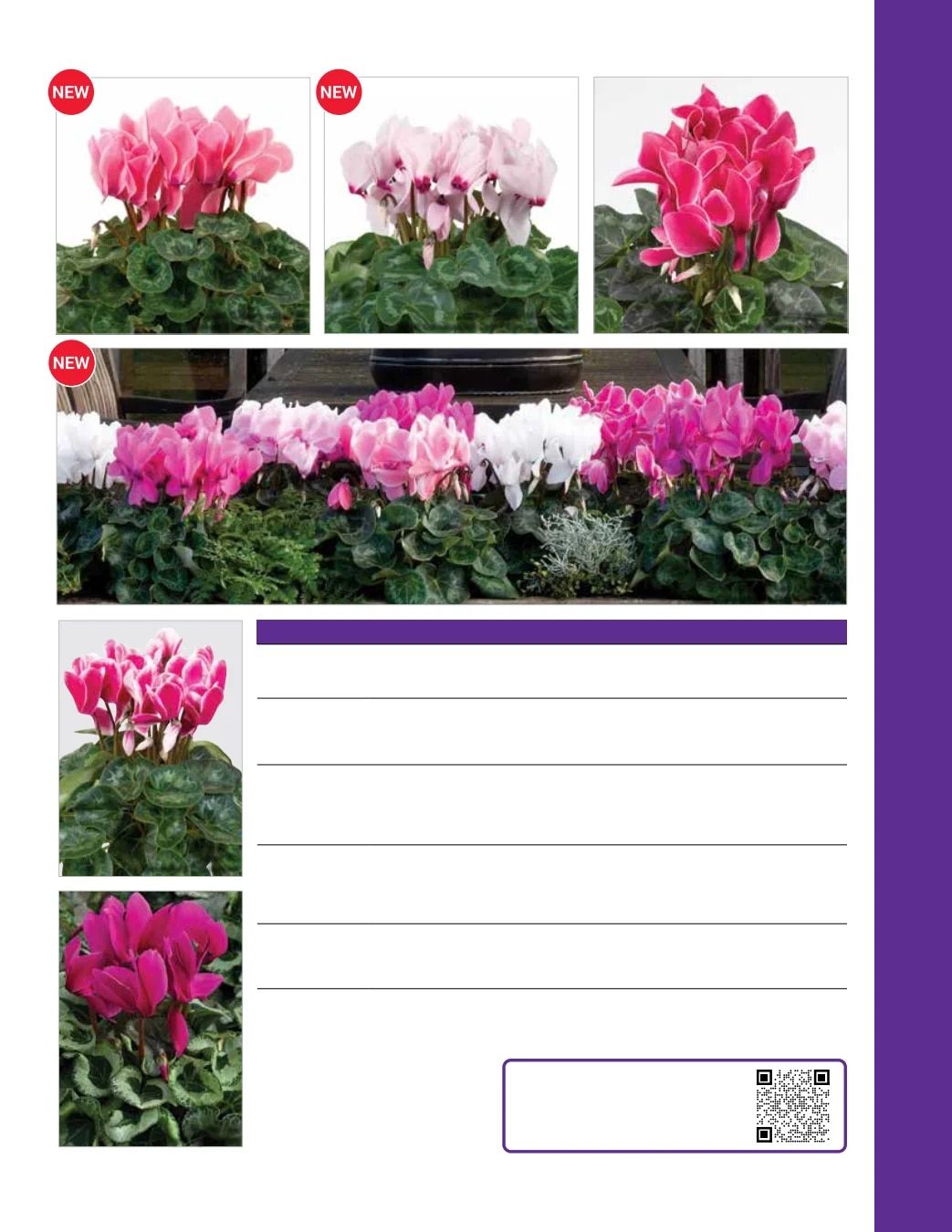 Ball Seed Seed and Plugs Catalog Weekly Ad August 31, 2026 - December 31, 2028