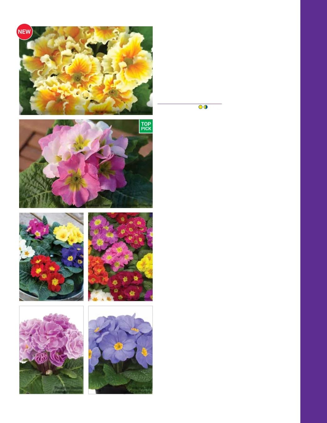 Ball Seed Seed and Plugs Catalog Weekly Ad August 31, 2026 - December 31, 2028