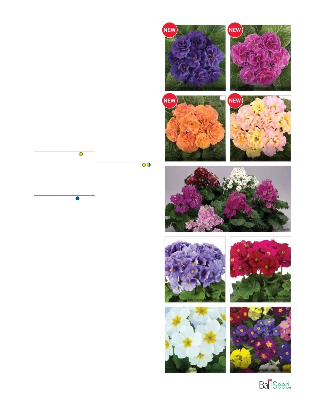 Ball Seed Seed and Plugs Catalog Weekly Ad August 31, 2026 - December 31, 2028