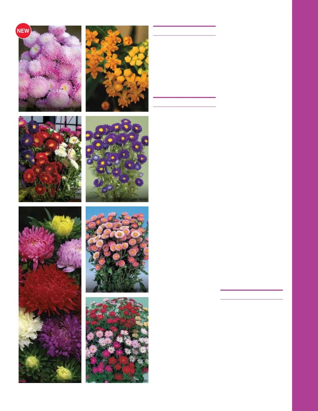 Ball Seed Seed and Plugs Catalog Weekly Ad August 31, 2026 - December 31, 2028