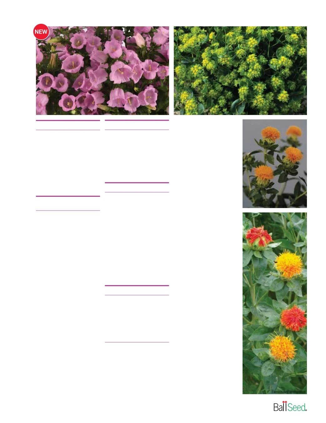 Ball Seed Seed and Plugs Catalog Weekly Ad August 31, 2026 - December 31, 2028
