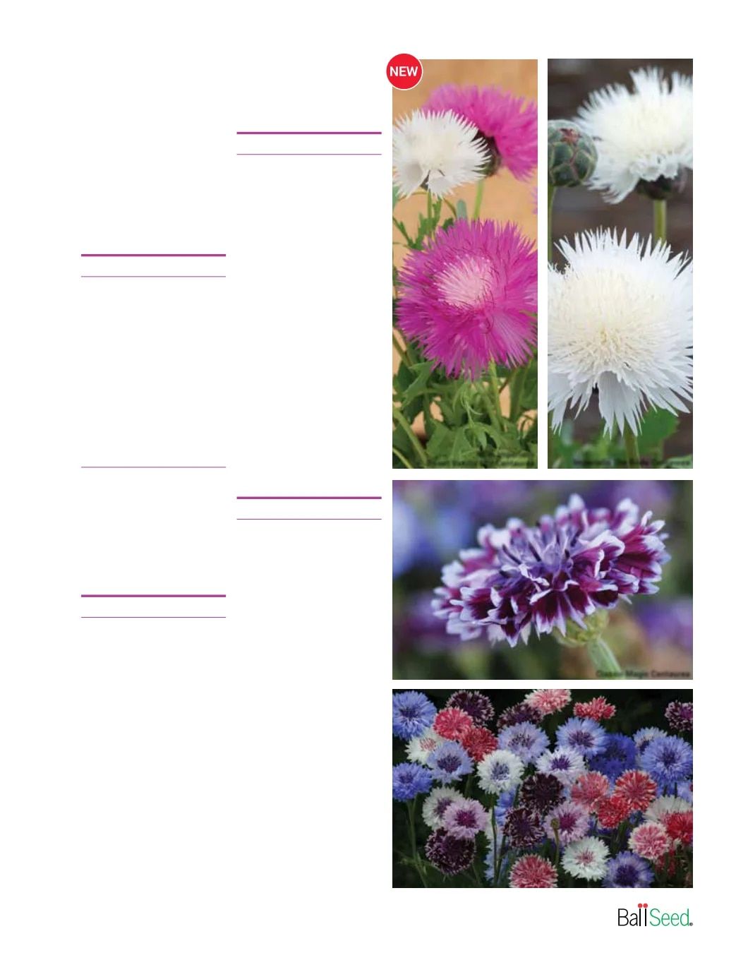 Ball Seed Seed and Plugs Catalog Weekly Ad August 31, 2026 - December 31, 2028