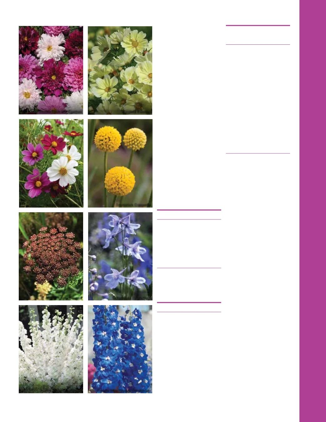 Ball Seed Seed and Plugs Catalog Weekly Ad August 31, 2026 - December 31, 2028