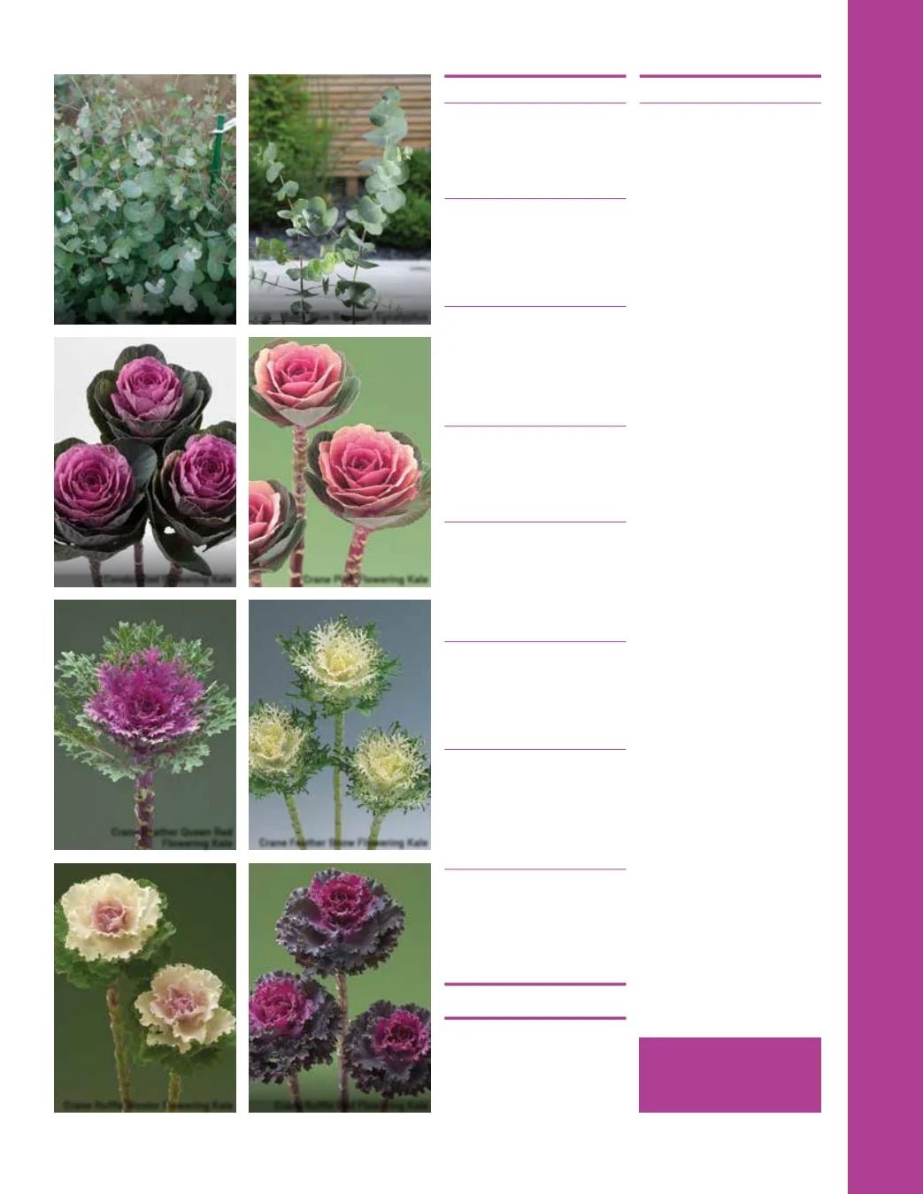 Ball Seed Seed and Plugs Catalog Weekly Ad August 31, 2026 - December 31, 2028