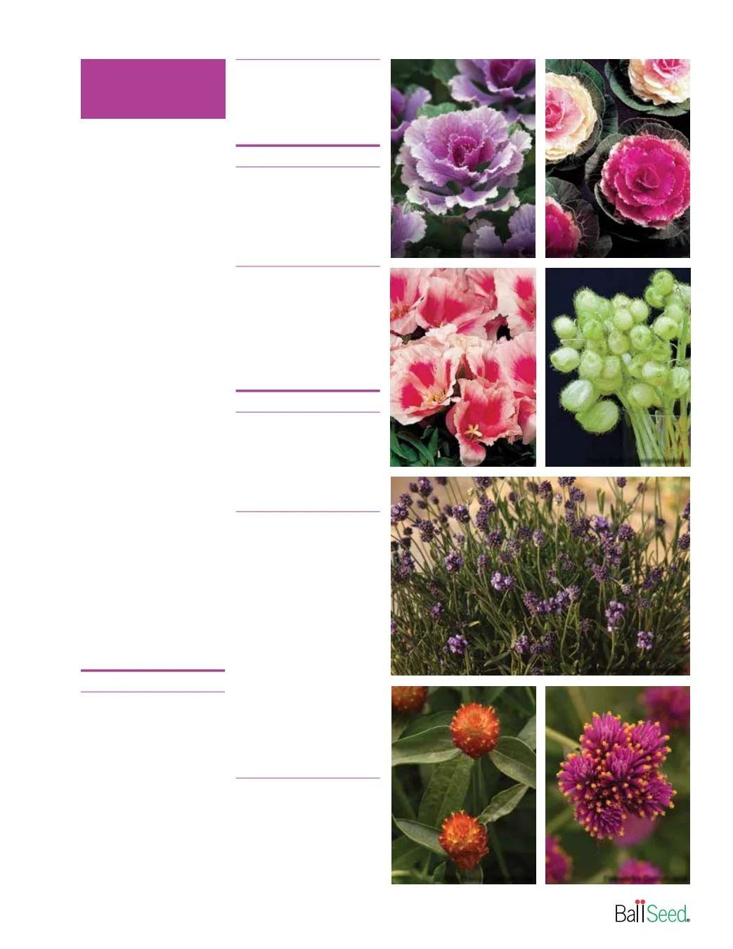 Ball Seed Seed and Plugs Catalog Weekly Ad August 31, 2026 - December 31, 2028