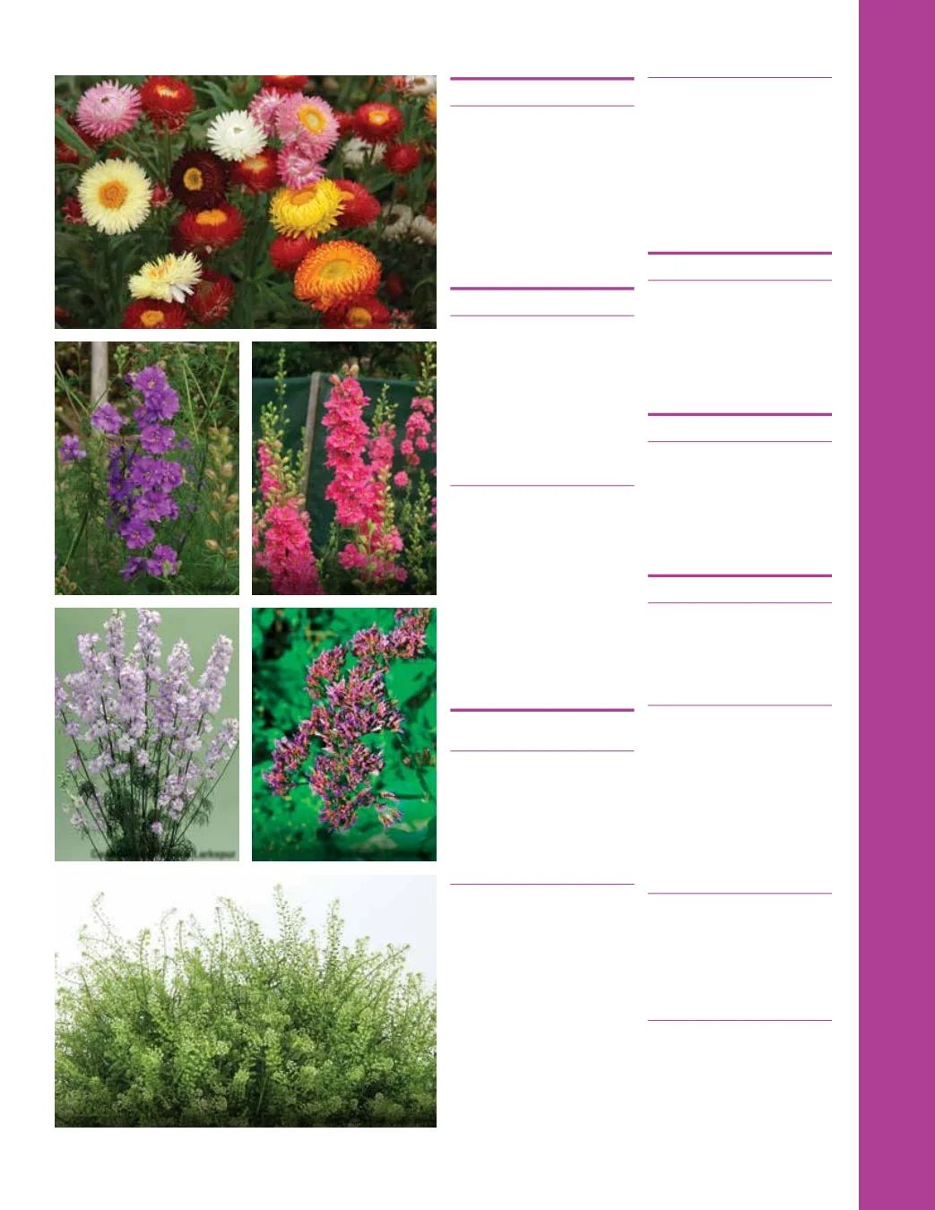 Ball Seed Seed and Plugs Catalog Weekly Ad August 31, 2026 - December 31, 2028