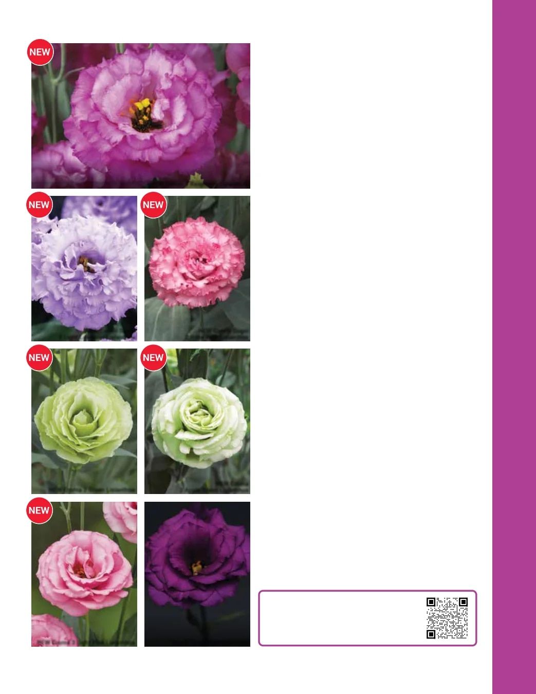 Ball Seed Seed and Plugs Catalog Weekly Ad August 31, 2026 - December 31, 2028