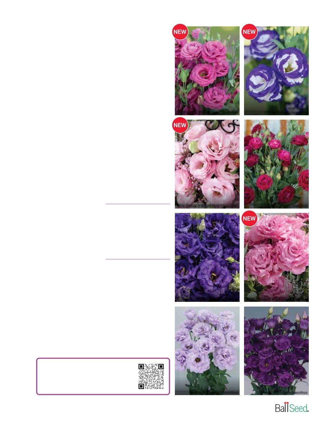 Ball Seed Seed and Plugs Catalog Weekly Ad August 31, 2026 - December 31, 2028
