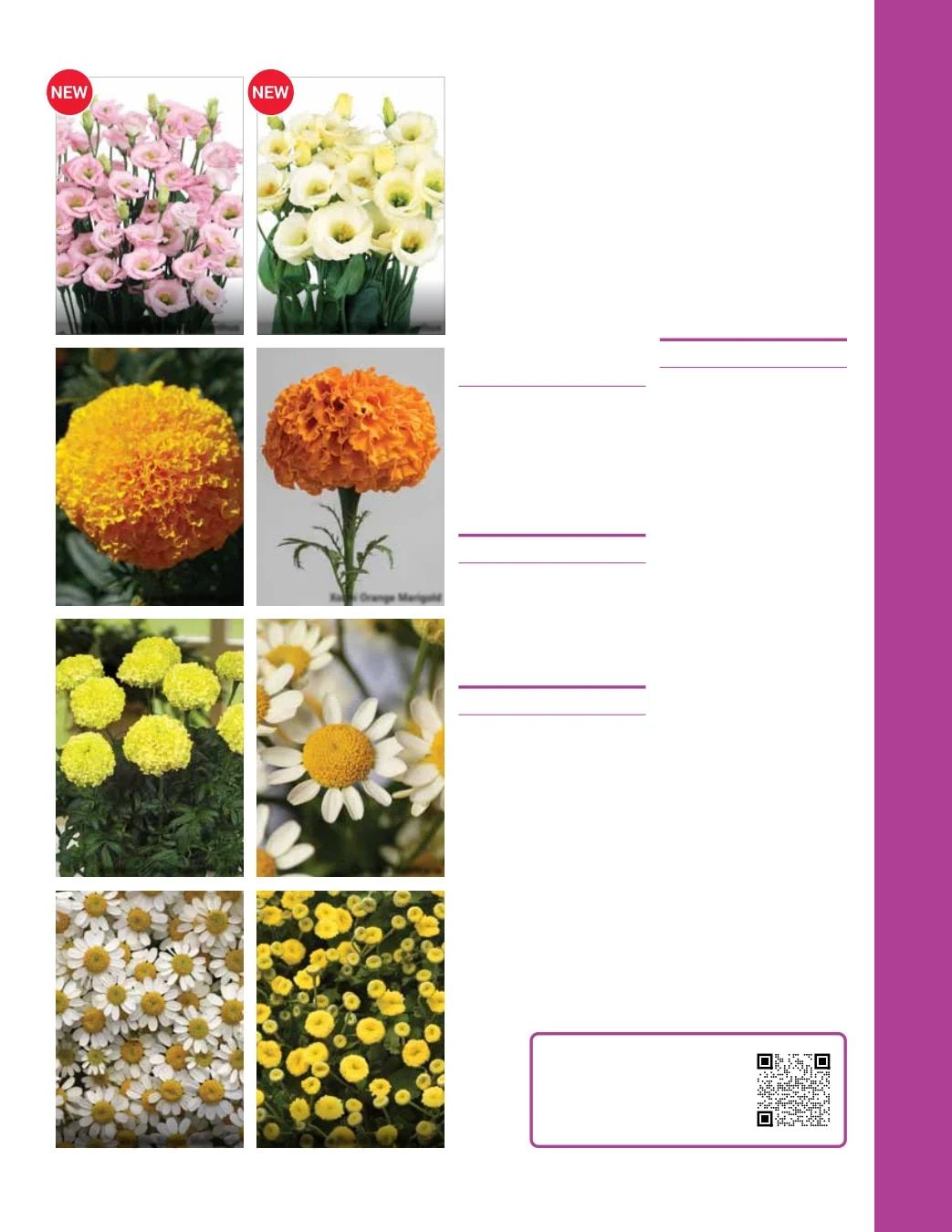 Ball Seed Seed and Plugs Catalog Weekly Ad August 31, 2026 - December 31, 2028