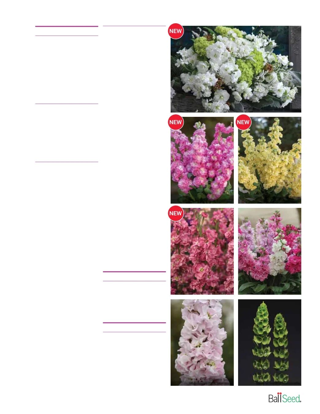Ball Seed Seed and Plugs Catalog Weekly Ad August 31, 2026 - December 31, 2028