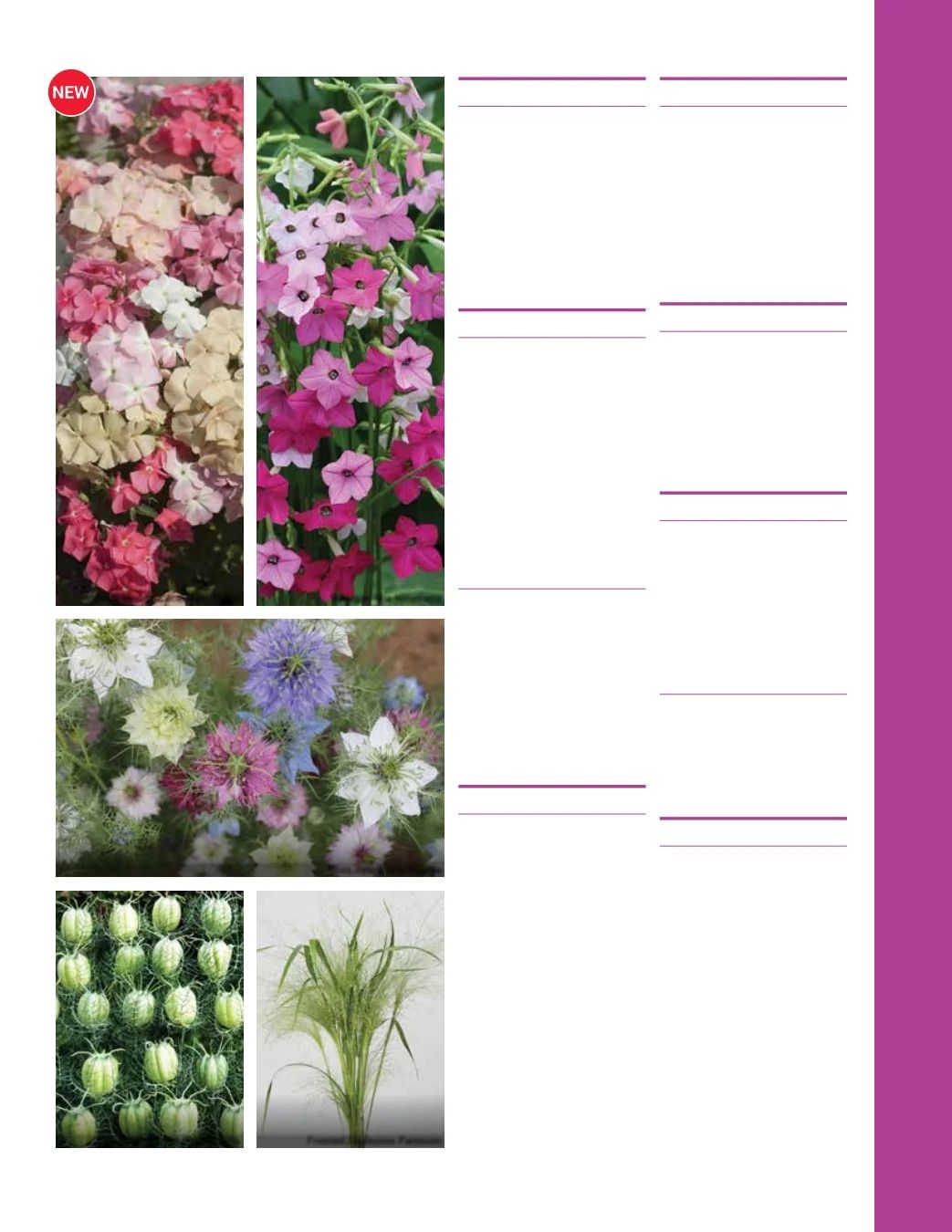 Ball Seed Seed and Plugs Catalog Weekly Ad August 31, 2026 - December 31, 2028