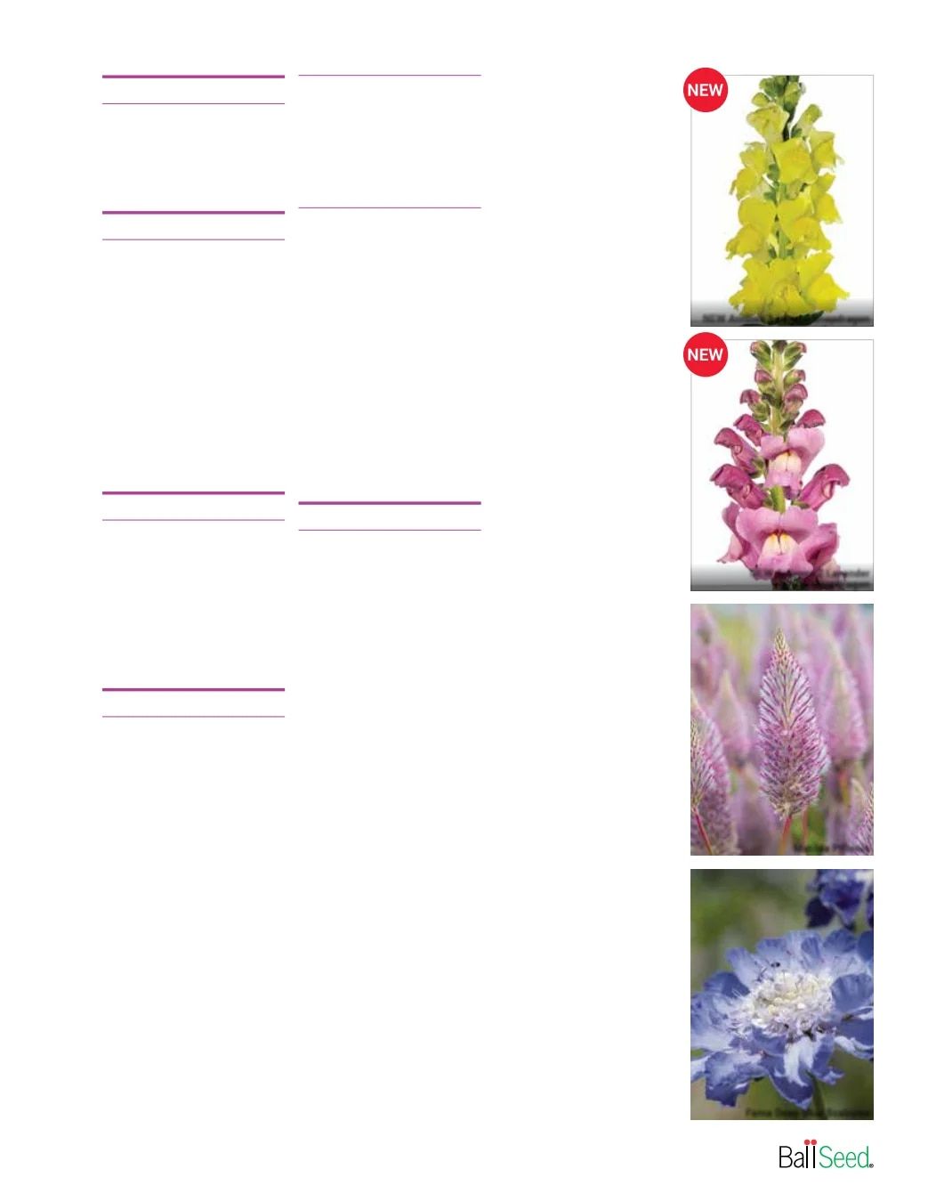 Ball Seed Seed and Plugs Catalog Weekly Ad August 31, 2026 - December 31, 2028