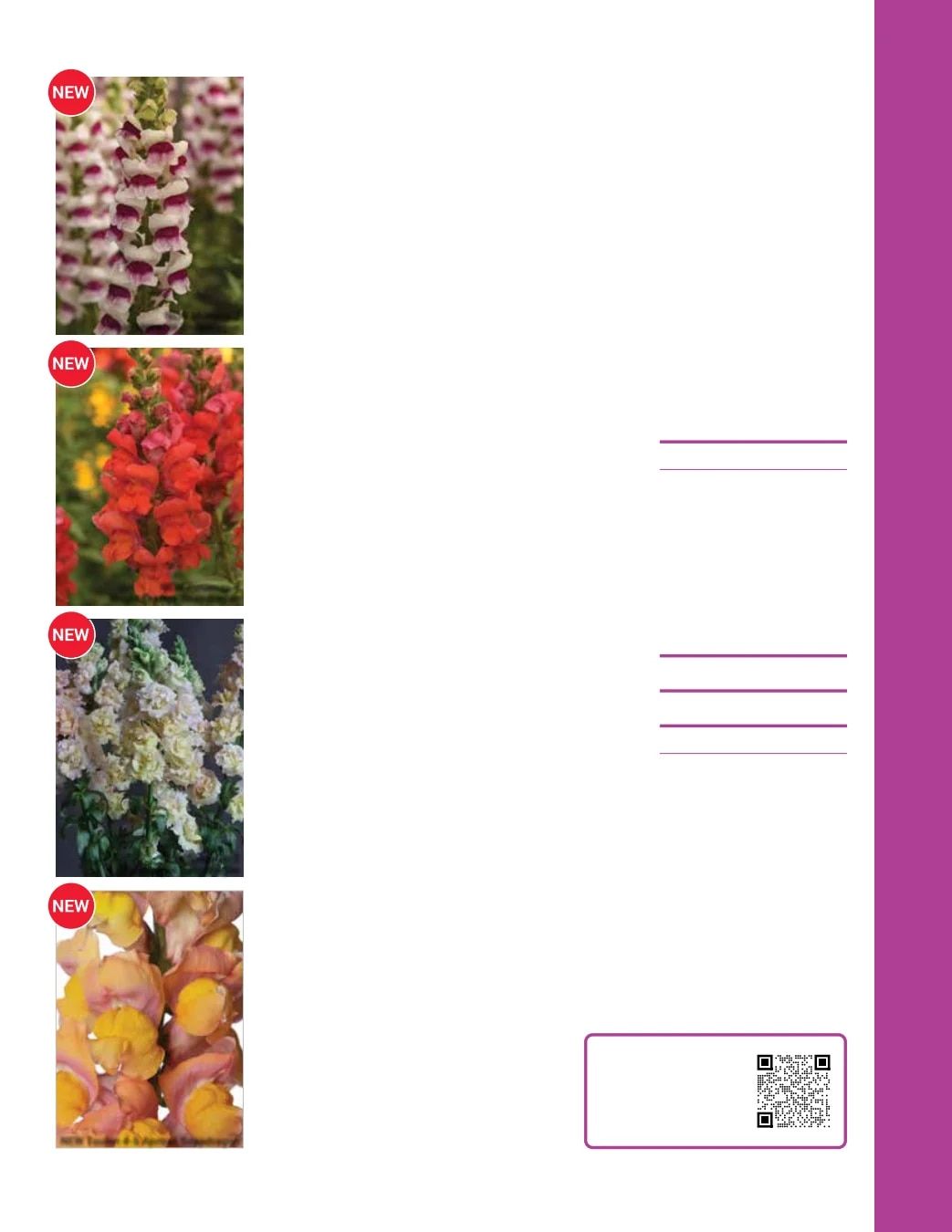 Ball Seed Seed and Plugs Catalog Weekly Ad August 31, 2026 - December 31, 2028