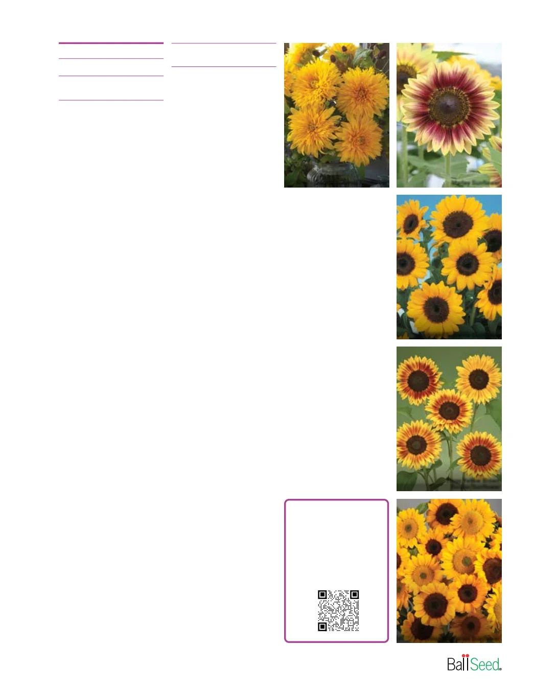 Ball Seed Seed and Plugs Catalog Weekly Ad August 31, 2026 - December 31, 2028