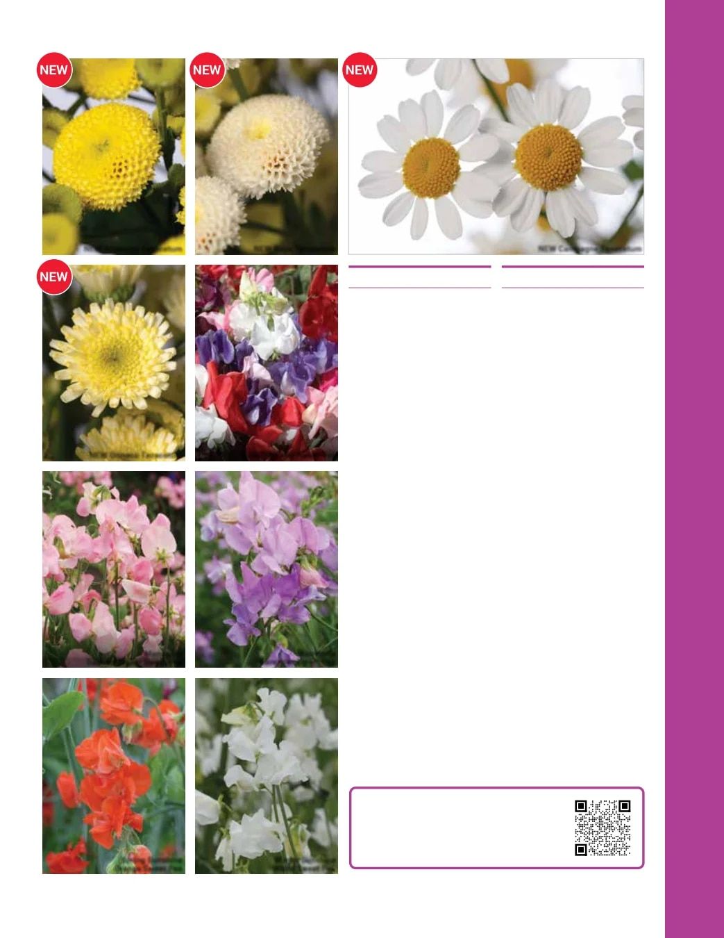 Ball Seed Seed and Plugs Catalog Weekly Ad August 31, 2026 - December 31, 2028