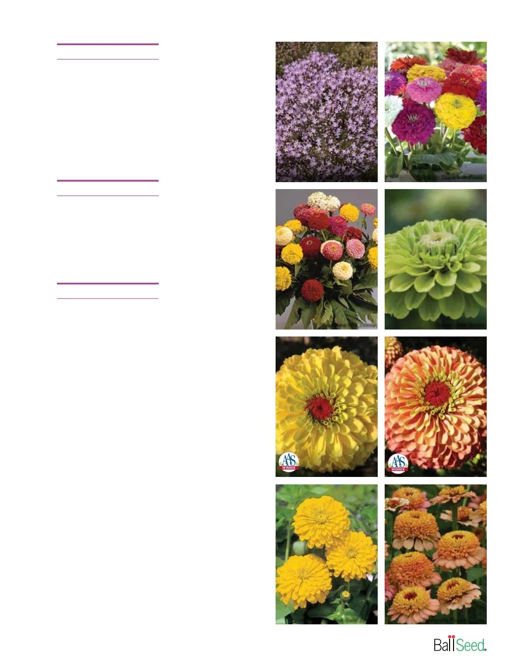 Ball Seed Seed and Plugs Catalog Weekly Ad August 31, 2026 - December 31, 2028