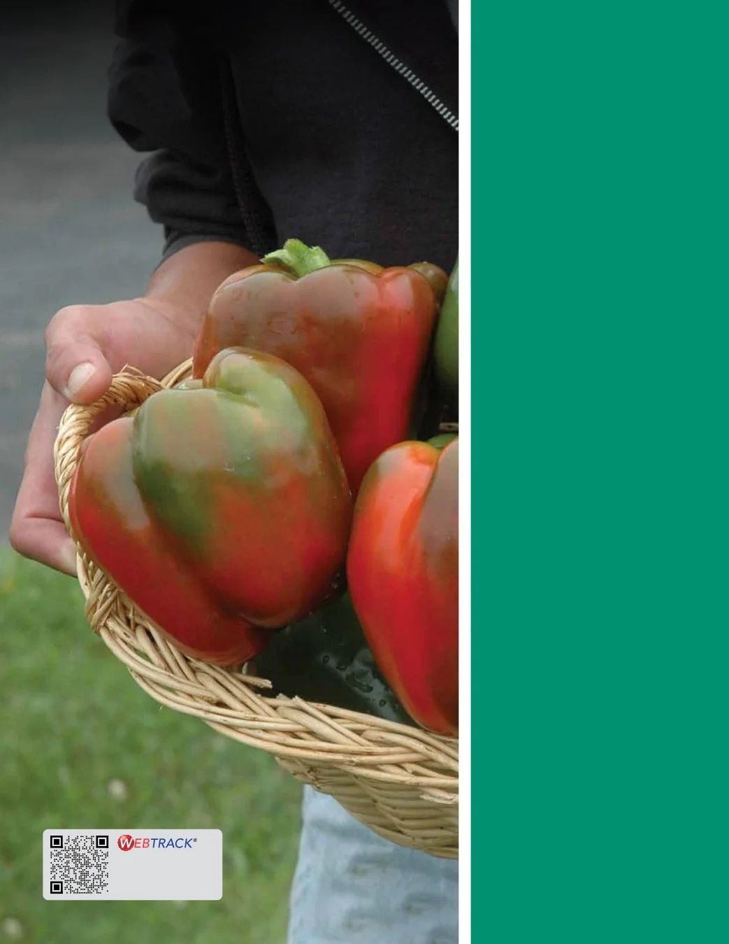 Ball Seed Seed and Plugs Catalog Weekly Ad August 31, 2026 - December 31, 2028