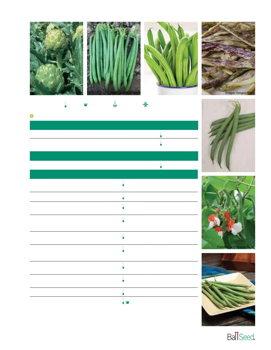 Ball Seed Seed and Plugs Catalog Weekly Ad August 31, 2026 - December 31, 2028