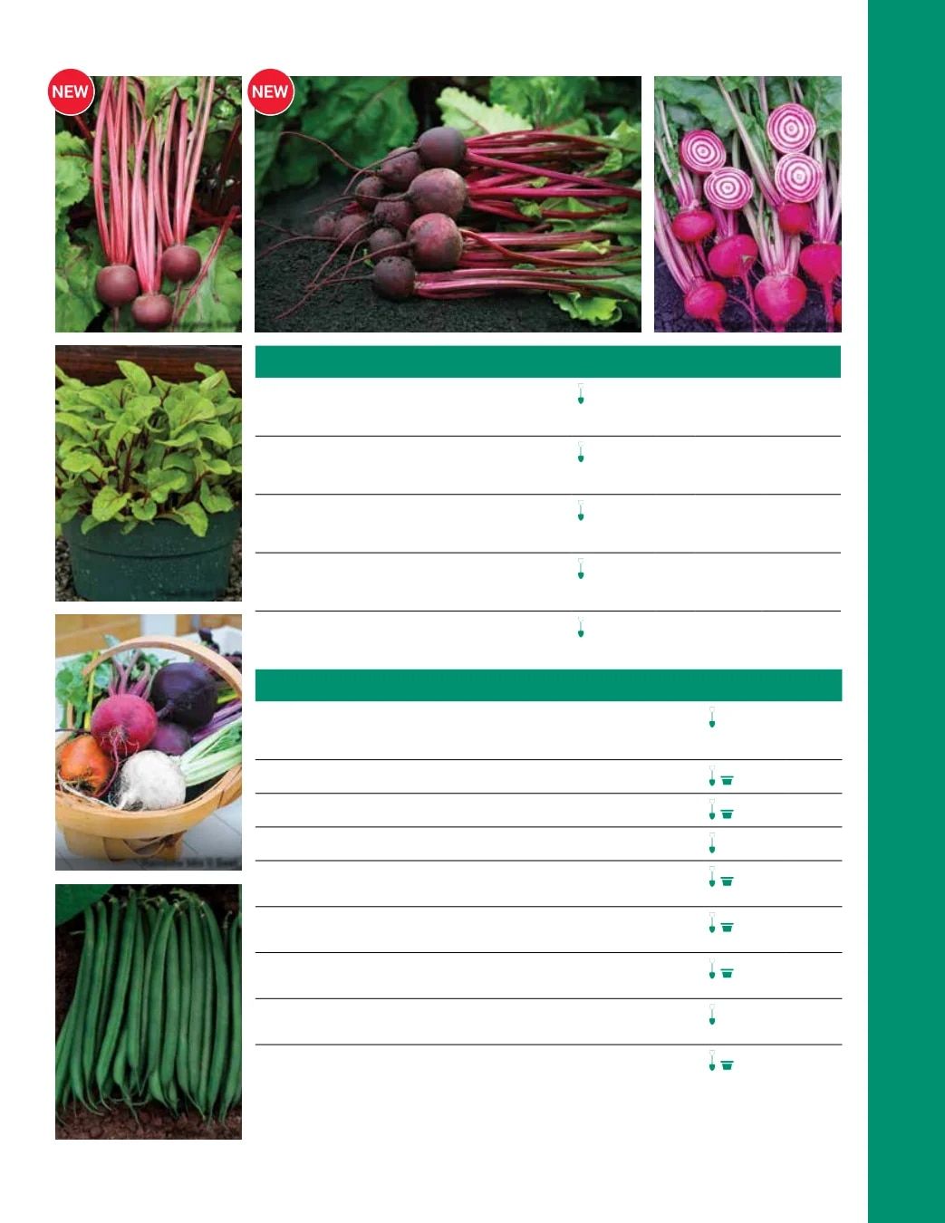 Ball Seed Seed and Plugs Catalog Weekly Ad August 31, 2026 - December 31, 2028