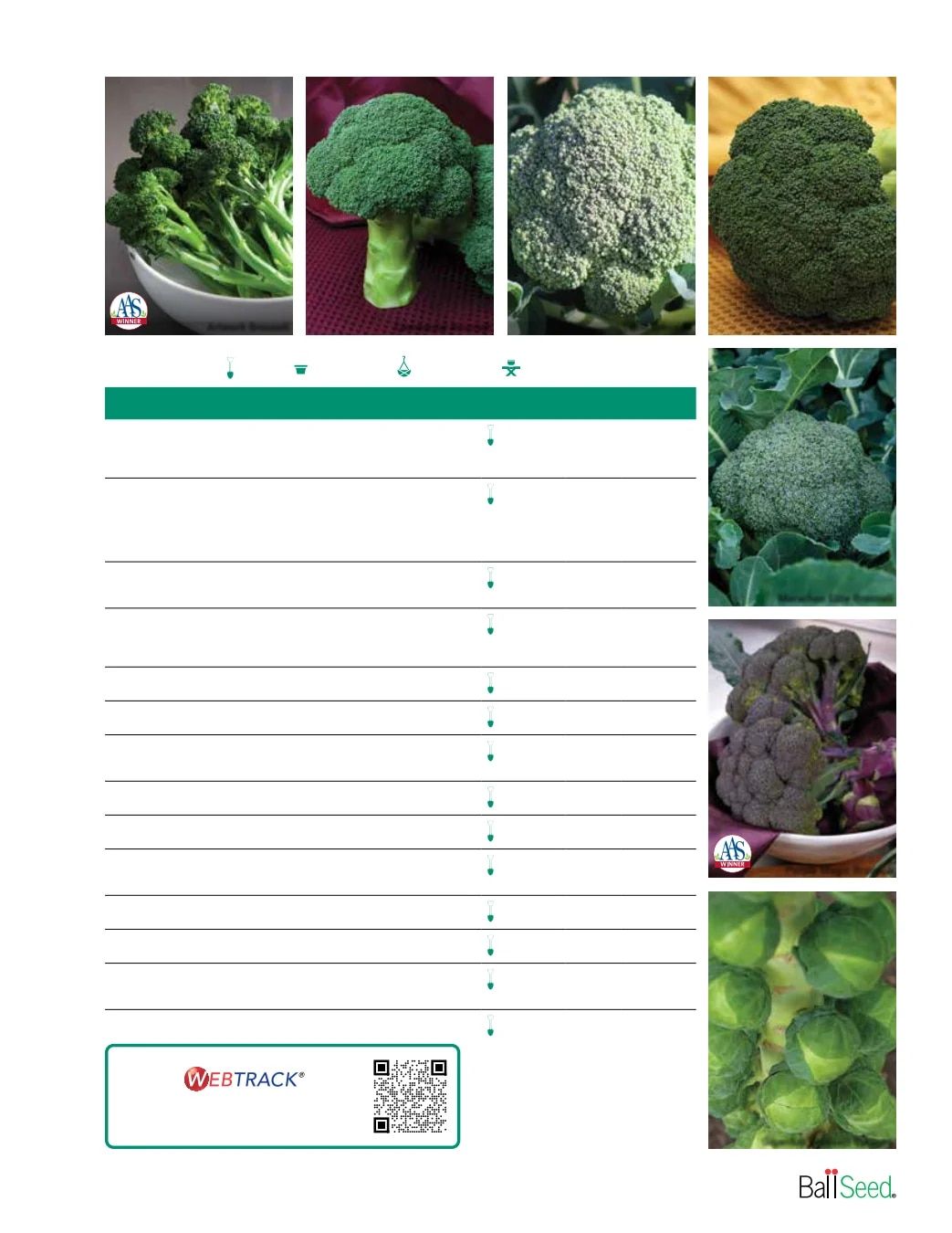Ball Seed Seed and Plugs Catalog Weekly Ad August 31, 2026 - December 31, 2028