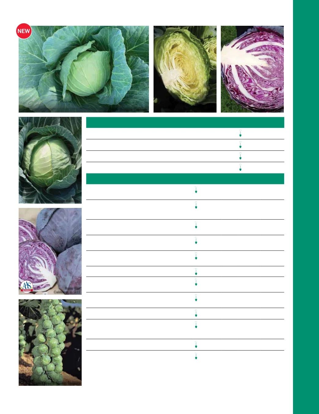 Ball Seed Seed and Plugs Catalog Weekly Ad August 31, 2026 - December 31, 2028