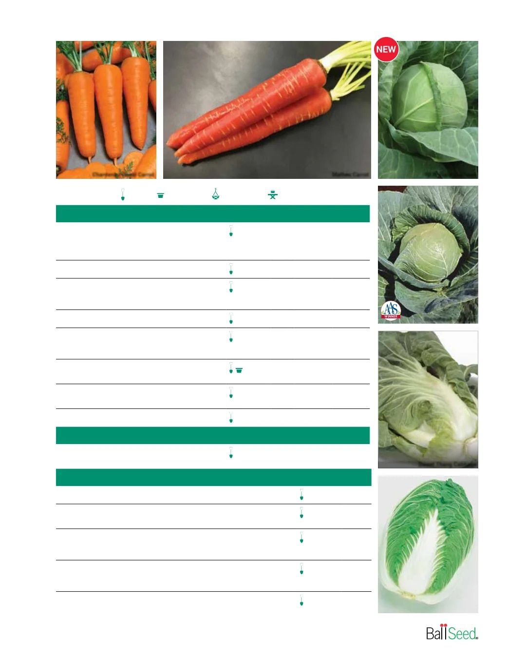 Ball Seed Seed and Plugs Catalog Weekly Ad August 31, 2026 - December 31, 2028