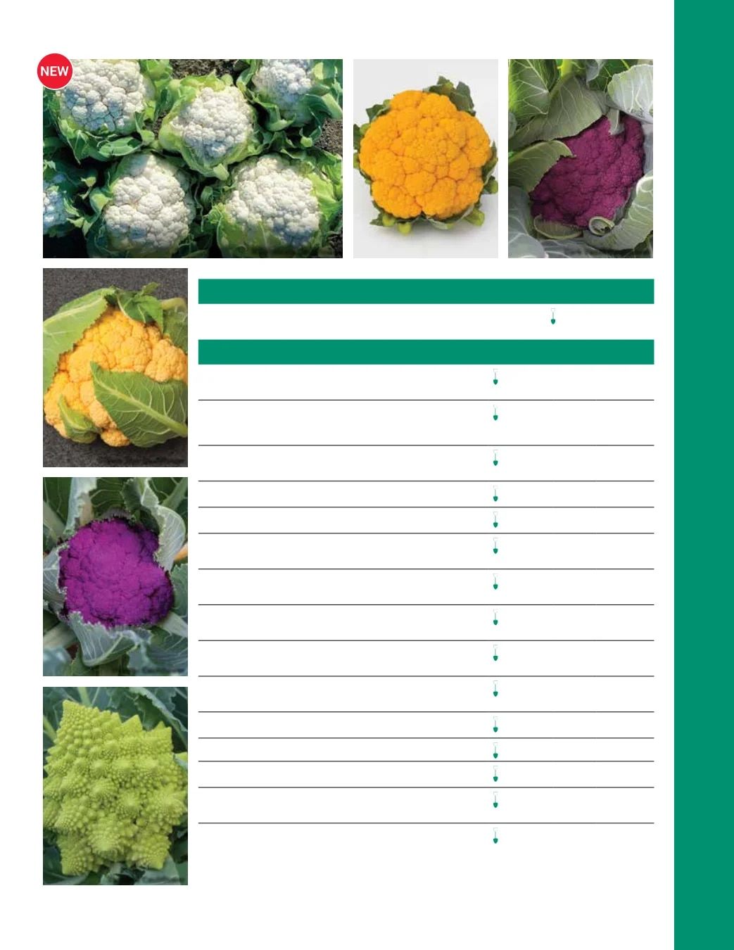 Ball Seed Seed and Plugs Catalog Weekly Ad August 31, 2026 - December 31, 2028