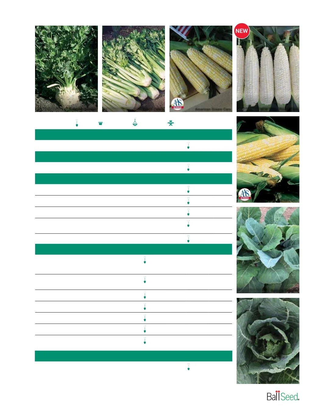 Ball Seed Seed and Plugs Catalog Weekly Ad August 31, 2026 - December 31, 2028