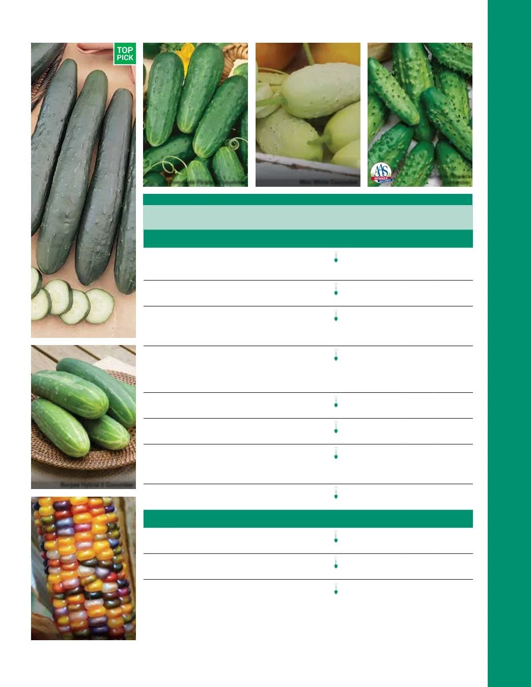 Ball Seed Seed and Plugs Catalog Weekly Ad August 31, 2026 - December 31, 2028