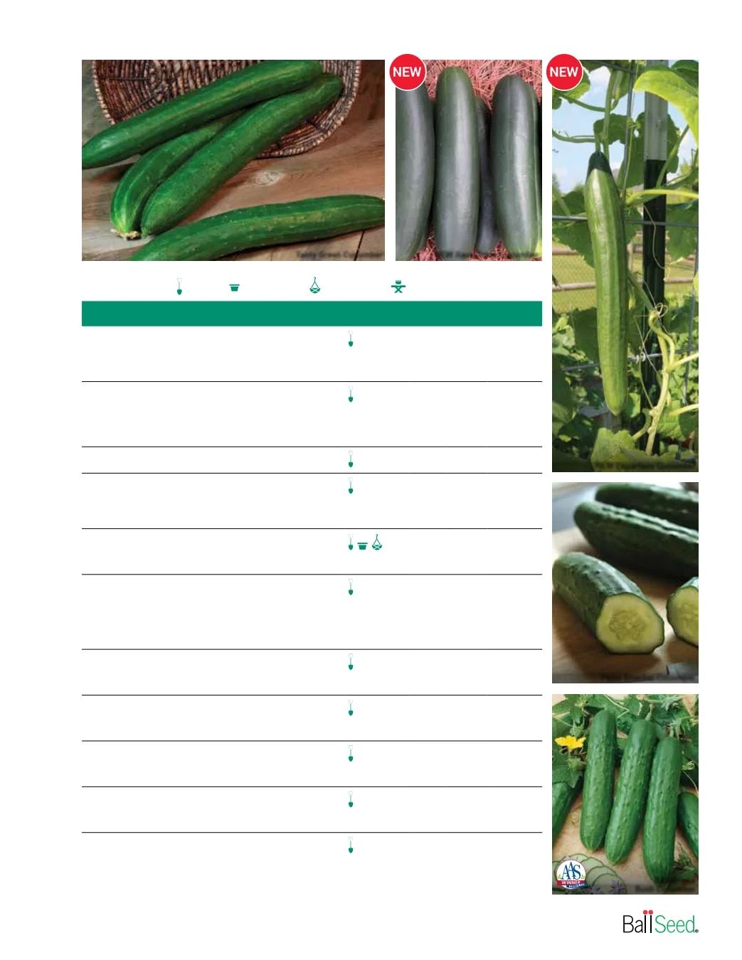 Ball Seed Seed and Plugs Catalog Weekly Ad August 31, 2026 - December 31, 2028