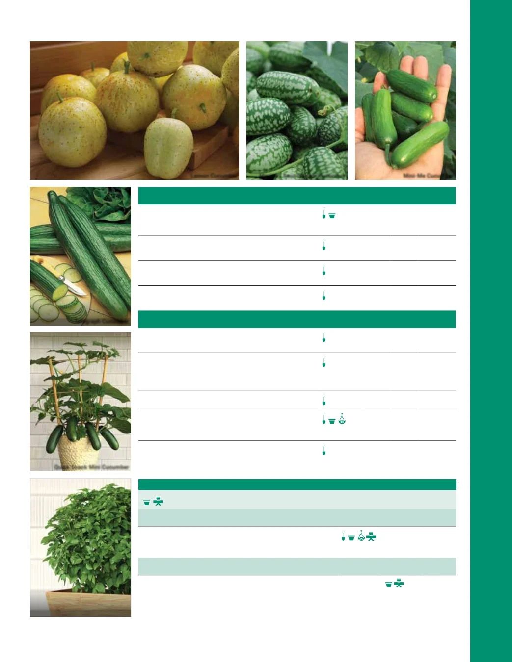 Ball Seed Seed and Plugs Catalog Weekly Ad August 31, 2026 - December 31, 2028