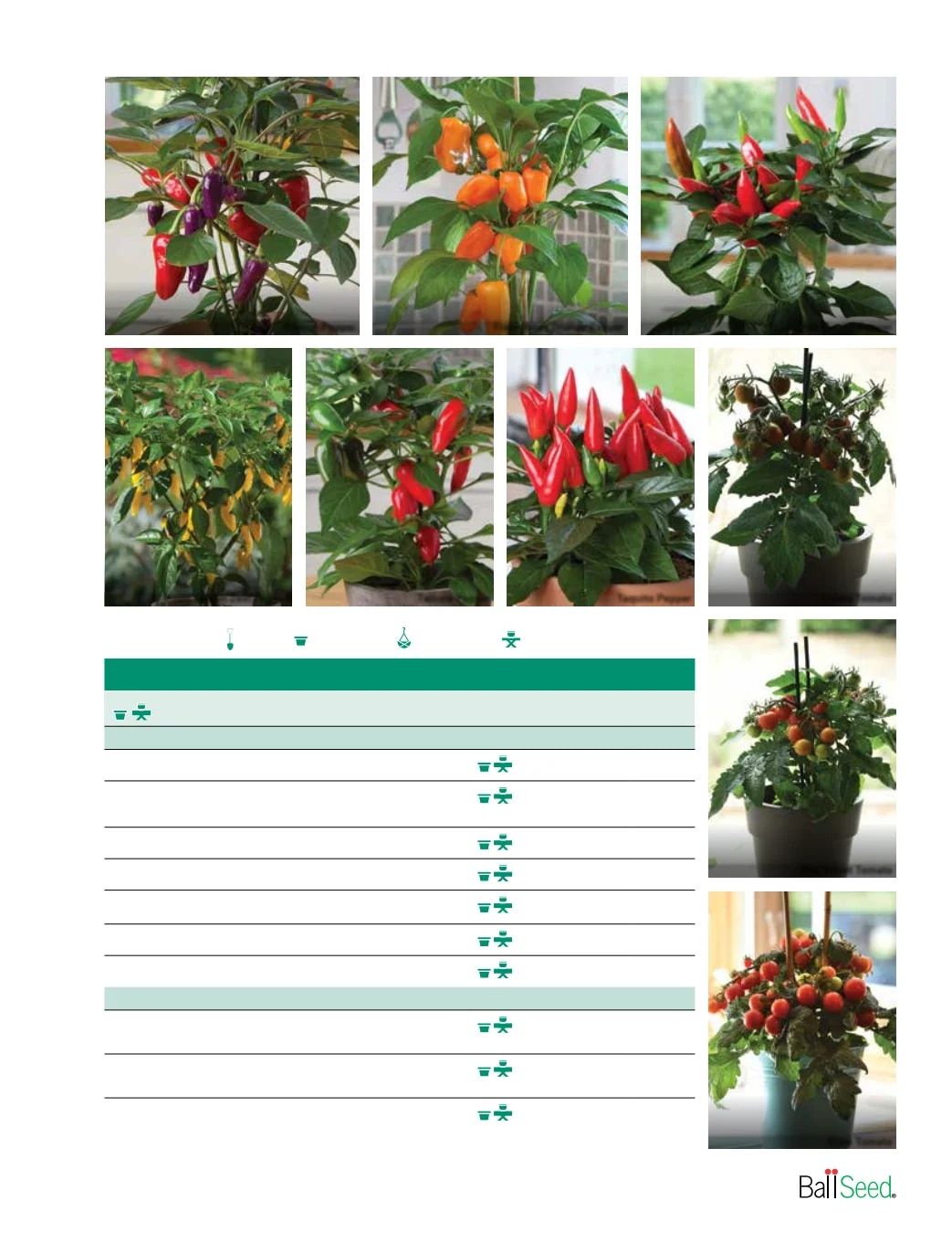 Ball Seed Seed and Plugs Catalog Weekly Ad August 31, 2026 - December 31, 2028