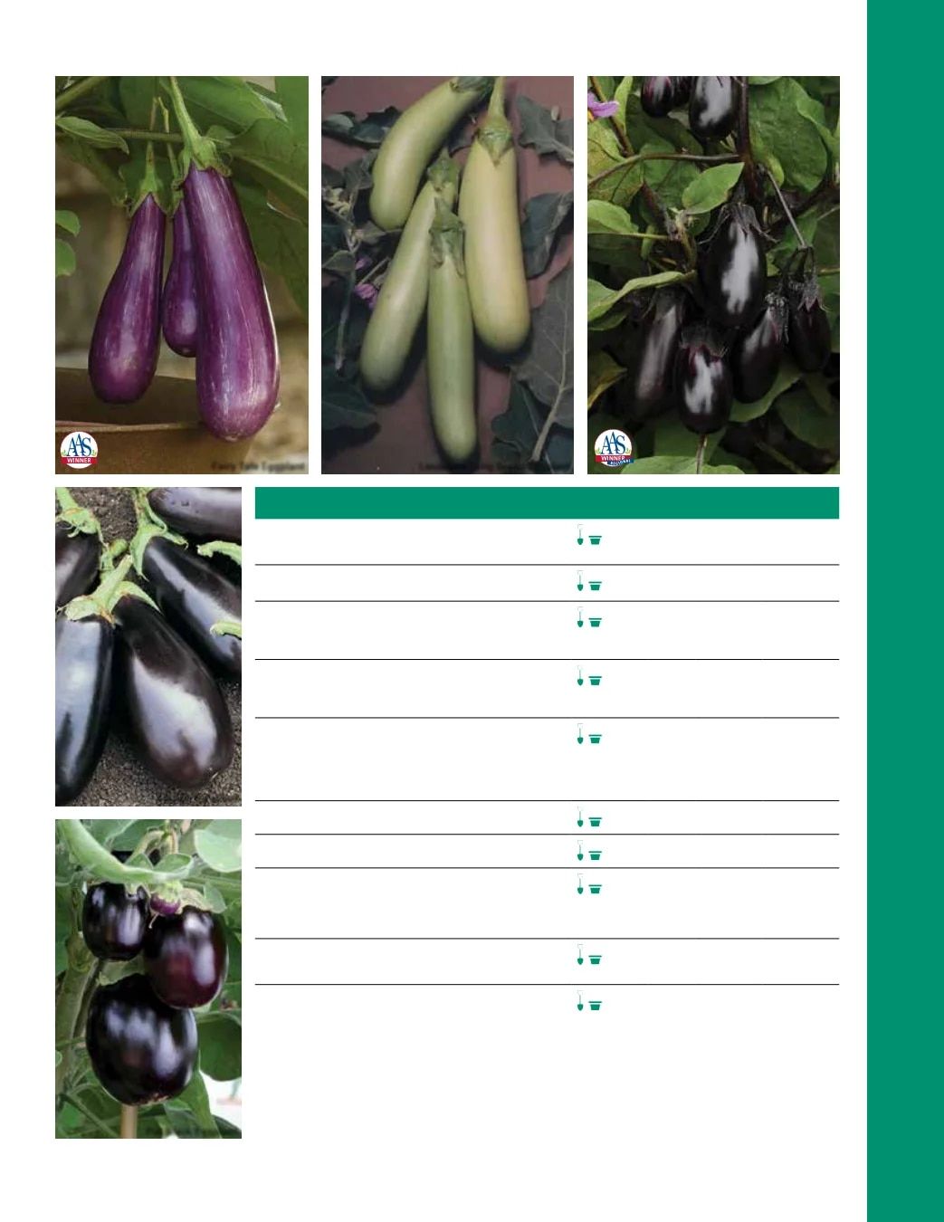 Ball Seed Seed and Plugs Catalog Weekly Ad August 31, 2026 - December 31, 2028